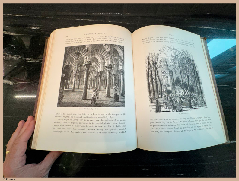 E720 - Pict Eur IV - i6051