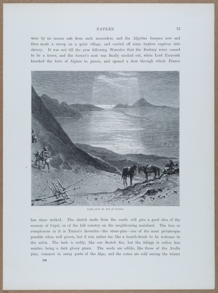 E720 - Pict Eur IV - i8693