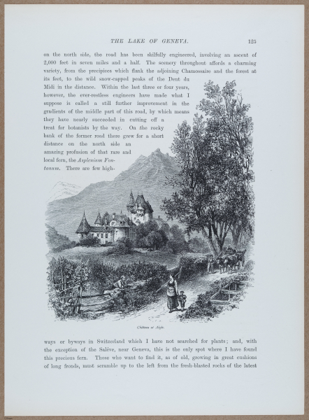 E720 - Pict Eur IV - i8746