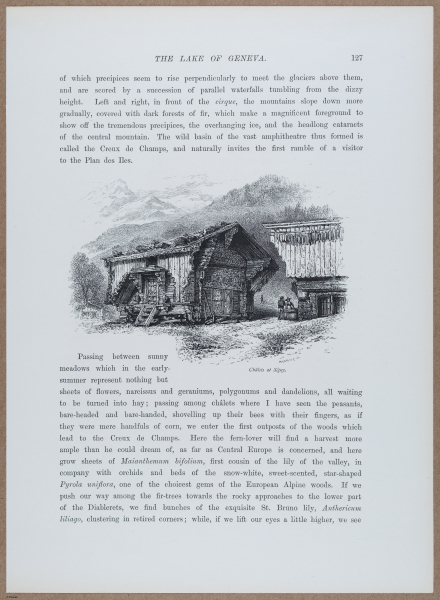 E720 - Pict Eur IV - i8748