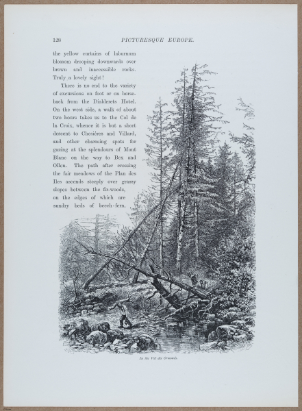 E720 - Pict Eur IV - i8749