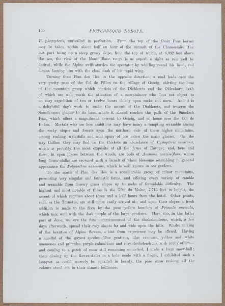 E720 - Pict Eur IV - i8751