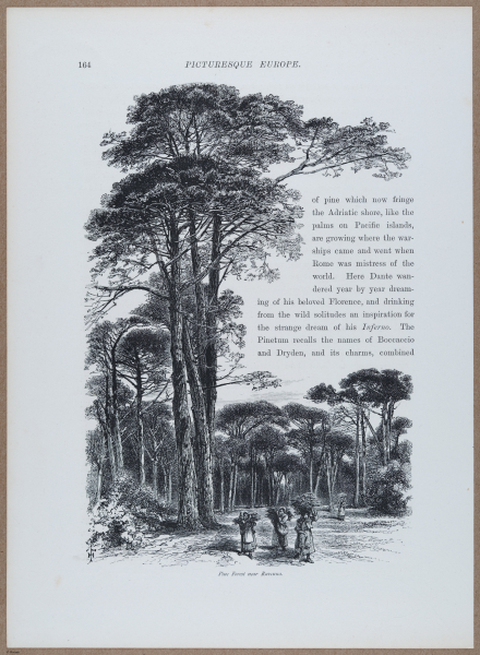 E720 - Pict Eur IV - i8788