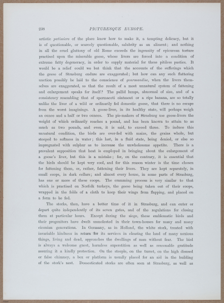 E720 - Pict Eur IV - i8866