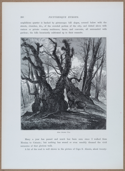 E720 - Pict Eur IV - i8888