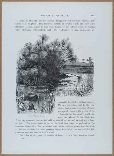 E720 - Pict Eur IV - i8893