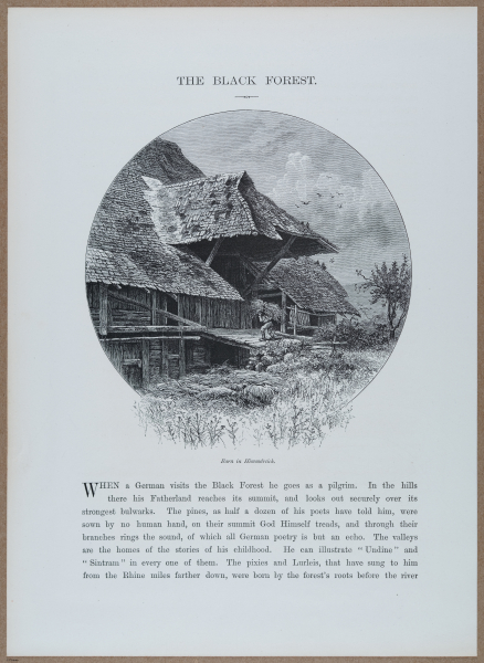 E720 - Pict Eur IV - i8899