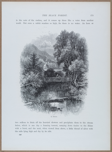 E720 - Pict Eur IV - i8903