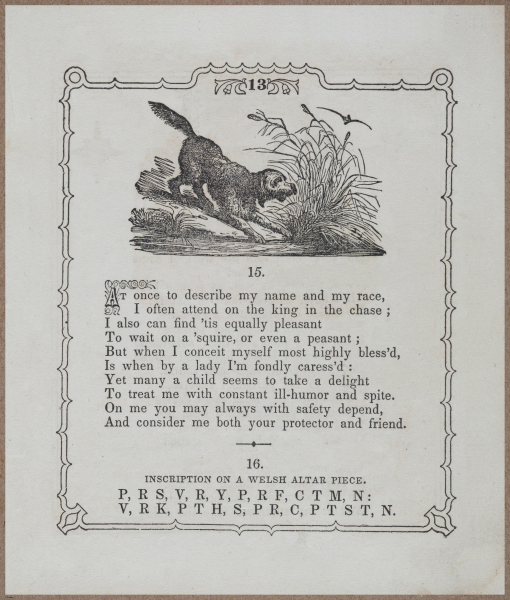 E730 - Picture Riddler - 1854 - 9065