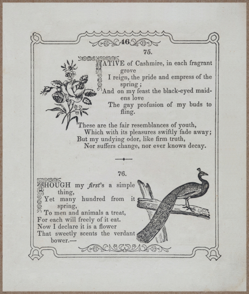 E730 - Picture Riddler - 1854 - 9097