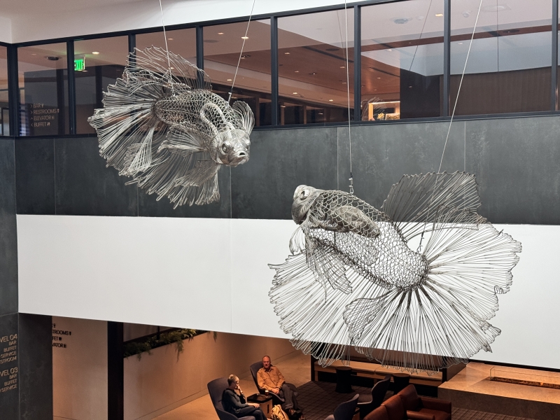 [ 2025-11-14 22:38:33 ]