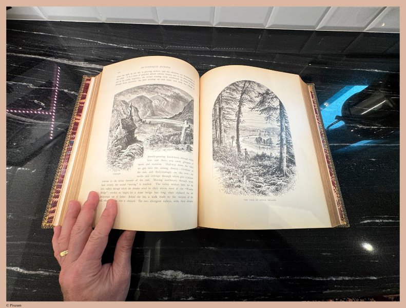 E731 - Pict Eur V1 - i7193