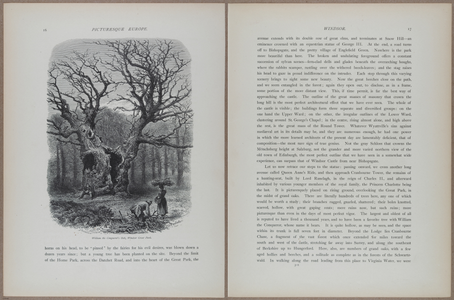 E731 - Pict Eur V1 - i9468-9469