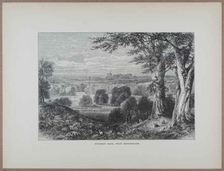 E731 - Pict Eur V1 - i9470