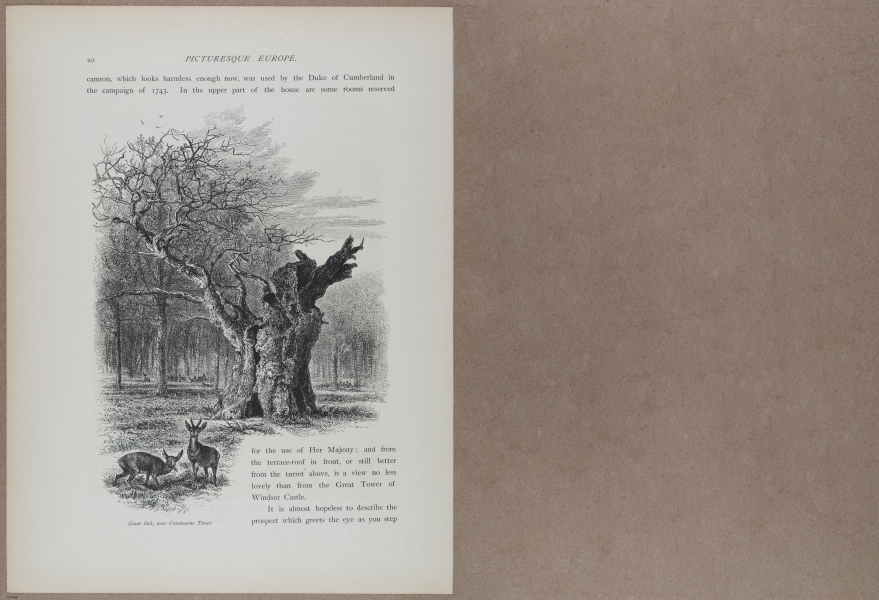 E731 - Pict Eur V1 - i9472