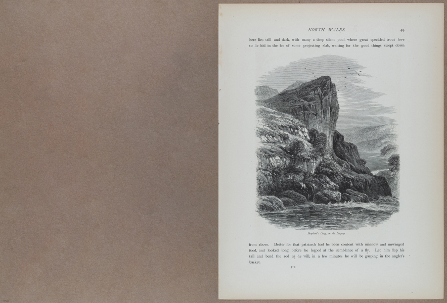 E731 - Pict Eur V1 - i9502