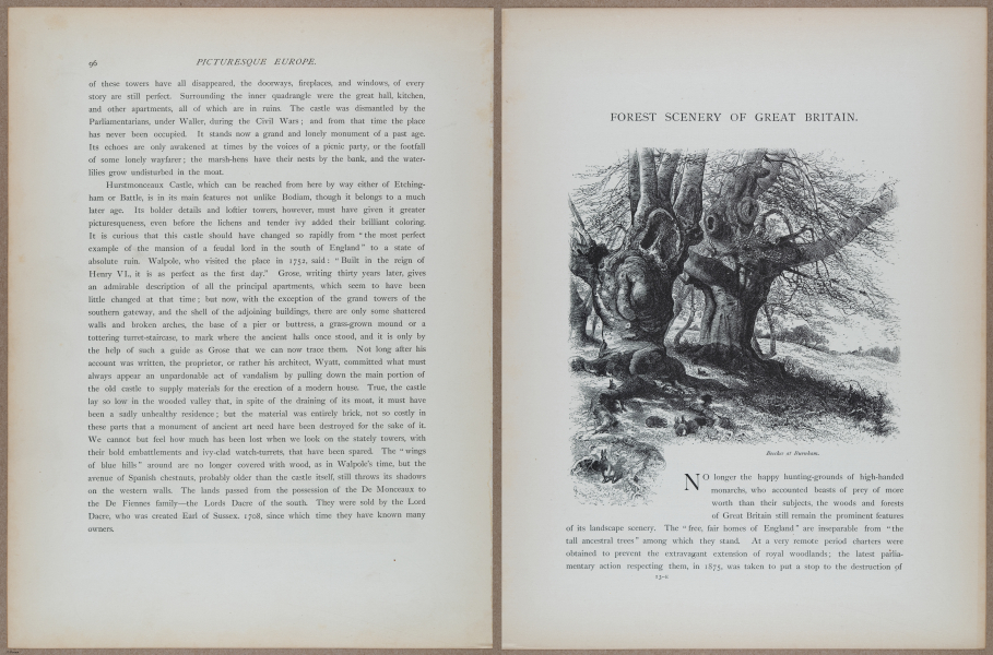 E731 - Pict Eur V1 - i9551-9553