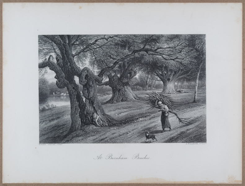 E731 - Pict Eur V1 - i9552