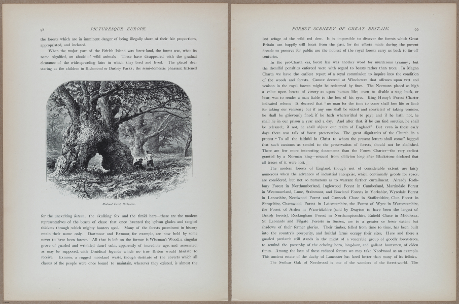 E731 - Pict Eur V1 - i9554-9555