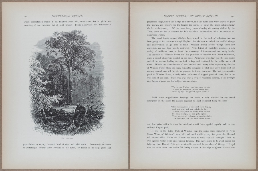 E731 - Pict Eur V1 - i9556-9557