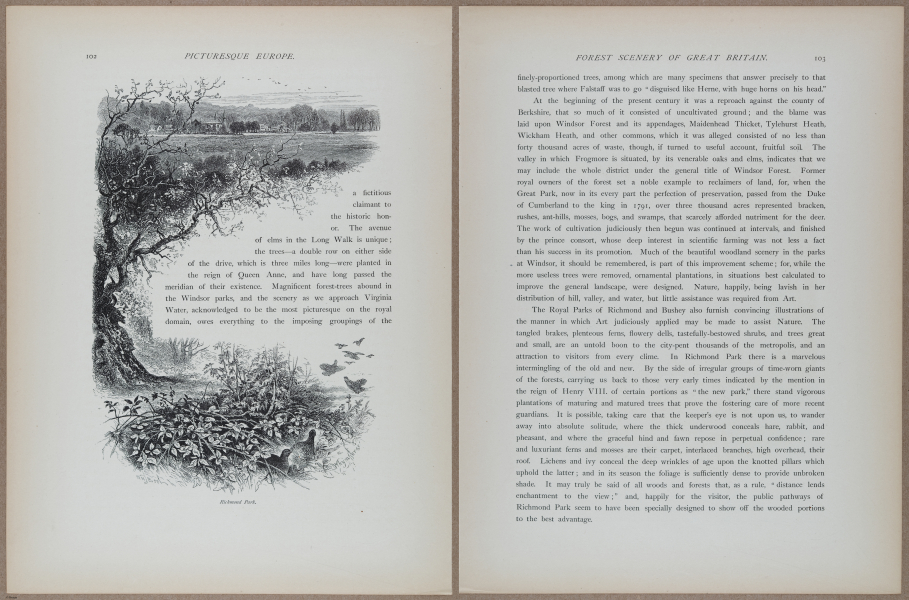 E731 - Pict Eur V1 - i9558-9559