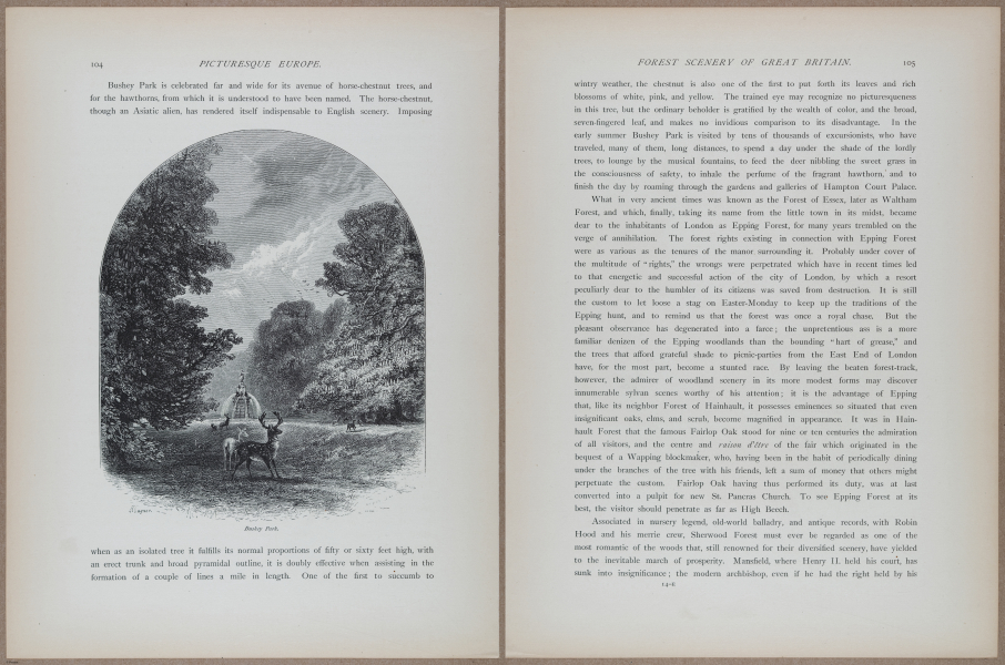 E731 - Pict Eur V1 - i9560-9561