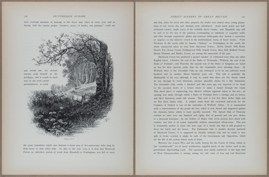 E731 - Pict Eur V1 - i9562-9563