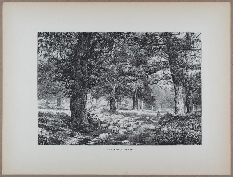 E731 - Pict Eur V1 - i9564