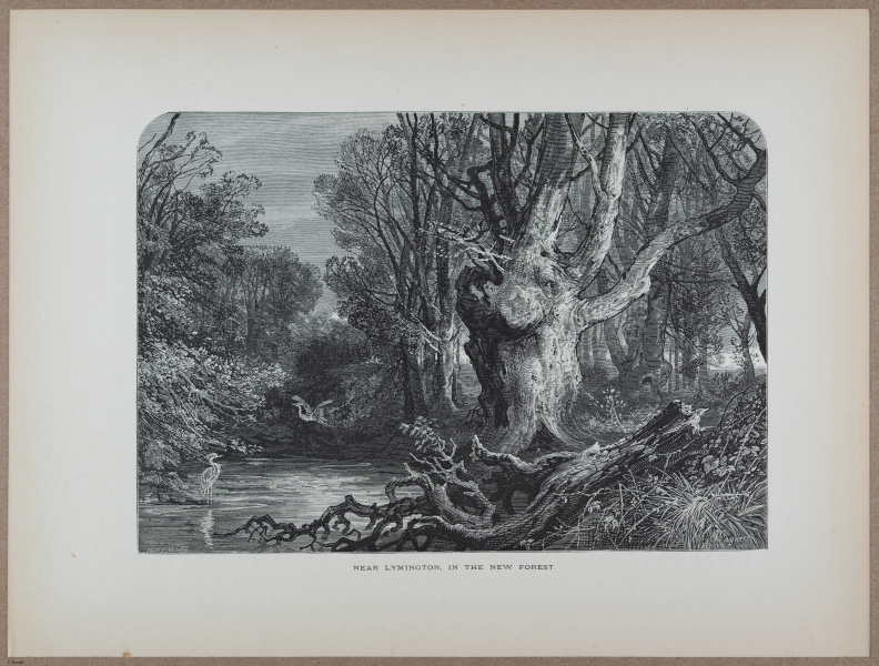 E731 - Pict Eur V1 - i9568