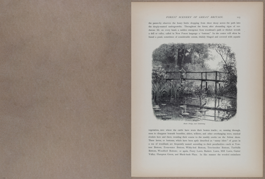 E731 - Pict Eur V1 - i9571