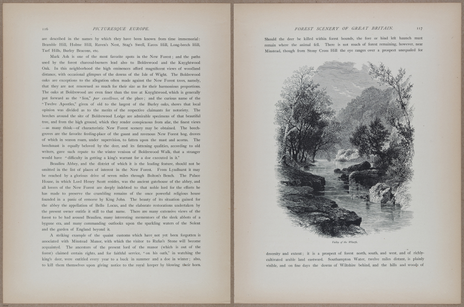 E731 - Pict Eur V1 - i9572-9573