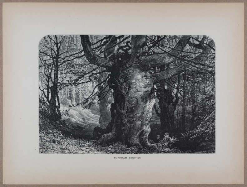 E731 - Pict Eur V1 - i9576