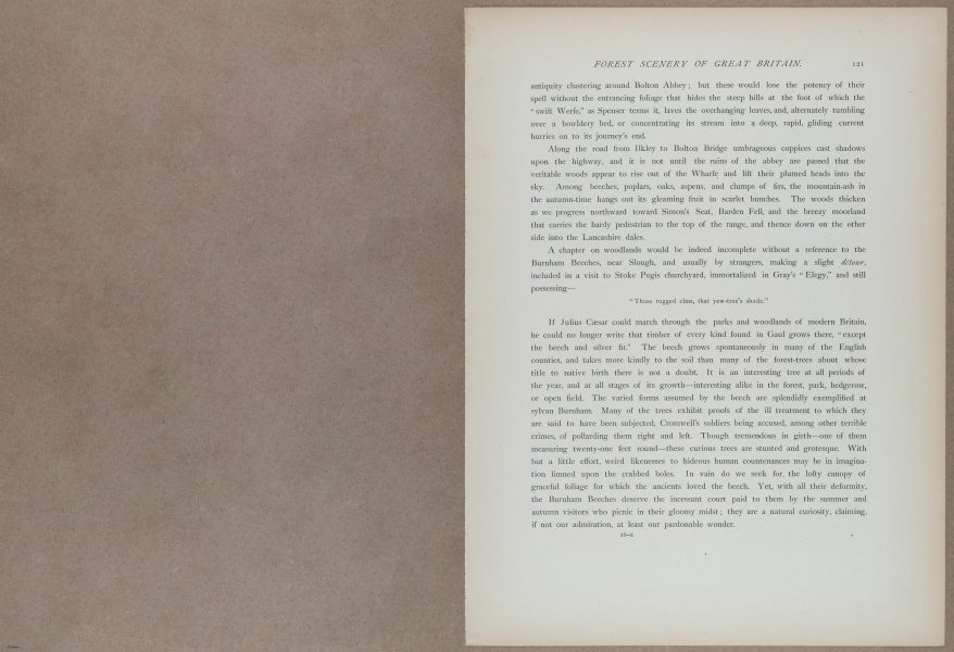 E731 - Pict Eur V1 - i9577