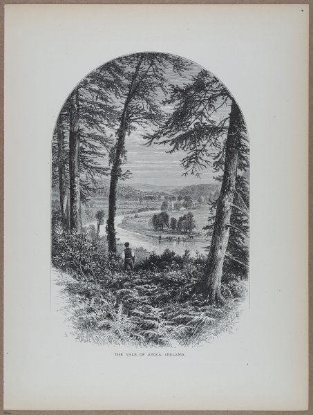 E731 - Pict Eur V1 - i9633