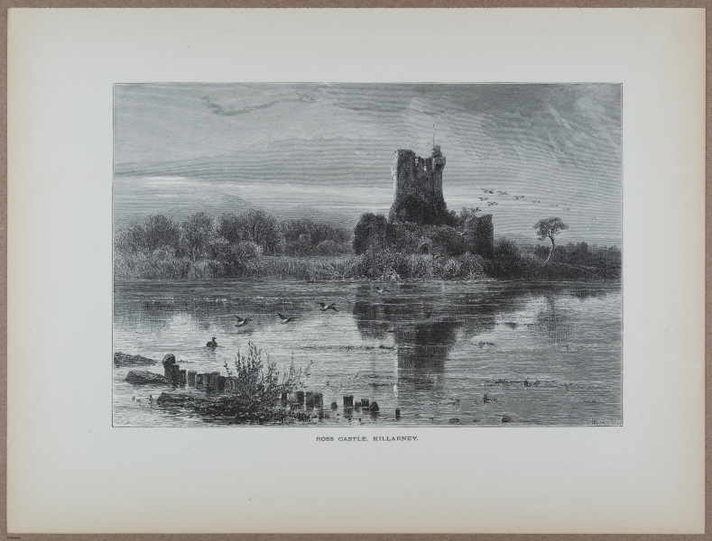 E731 - Pict Eur V1 - i9647