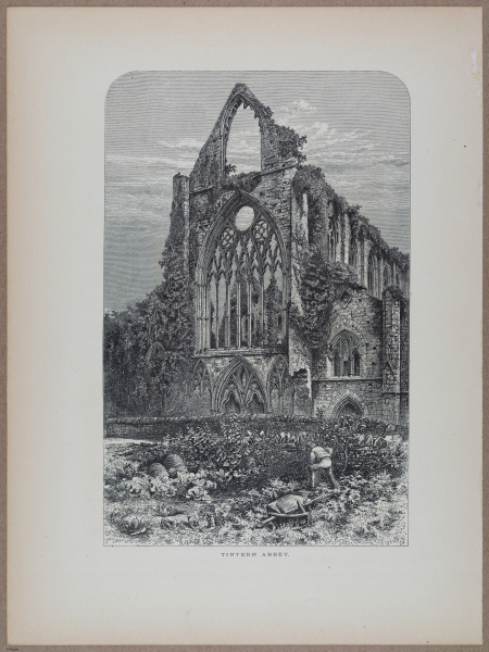 E731 - Pict Eur V1 - i9728