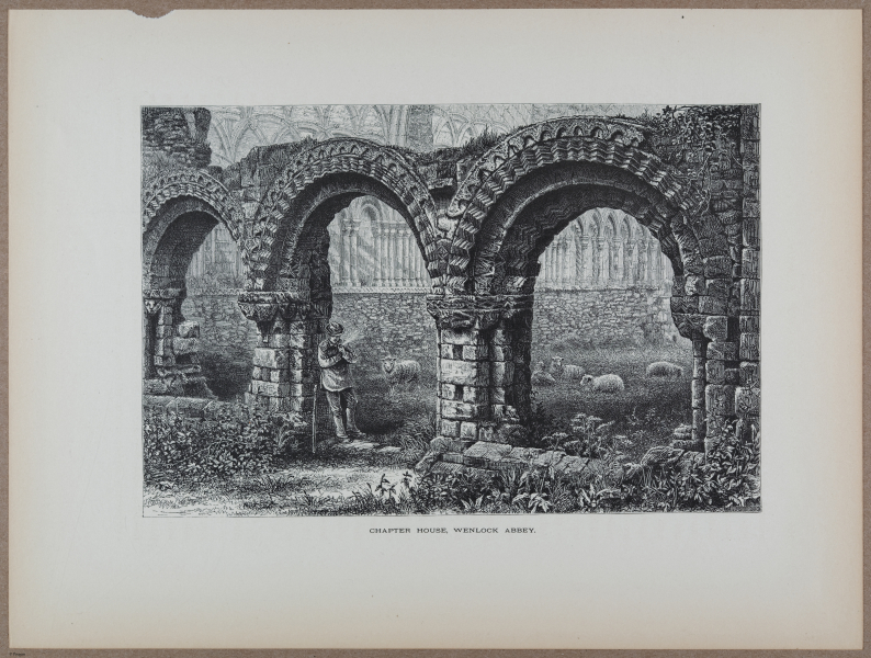 E731 - Pict Eur V1 - i9732