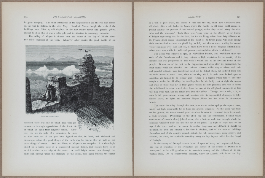 E731 - Pict Eur V1 - i9794-9795