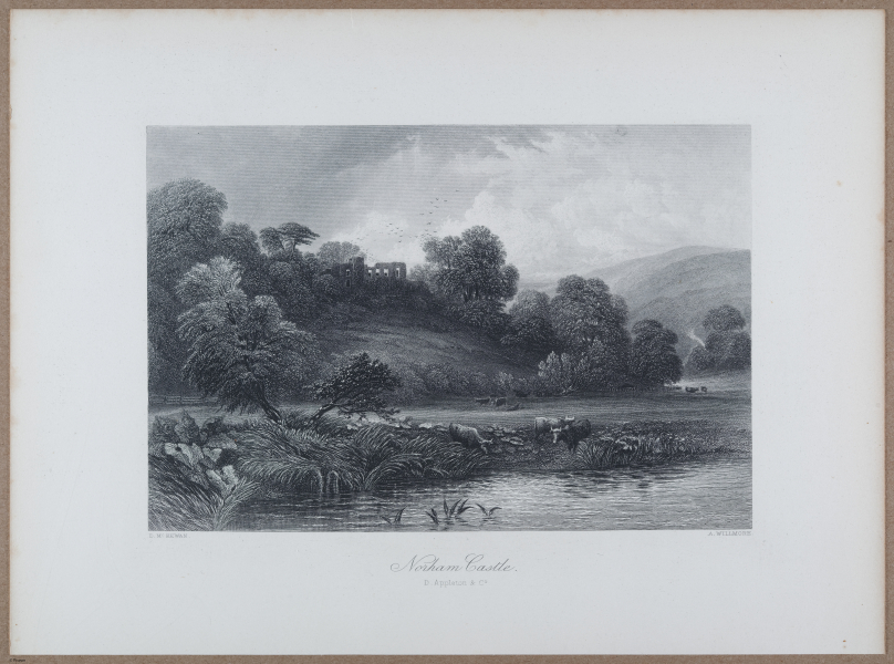 E731 - Pict Eur V1 - i9818