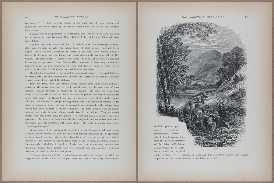 E731 - Pict Eur V1 - i9883-9884