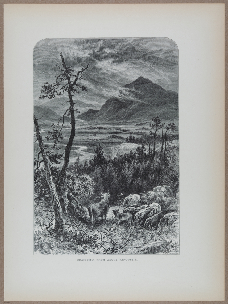 E731 - Pict Eur V1 - i9917