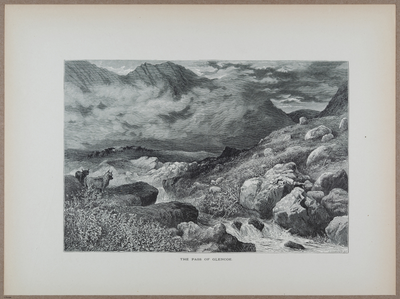 E731 - Pict Eur V1 - i9920