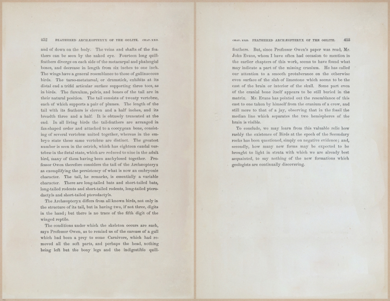 E624 - Charles Lyell - 10793-10794