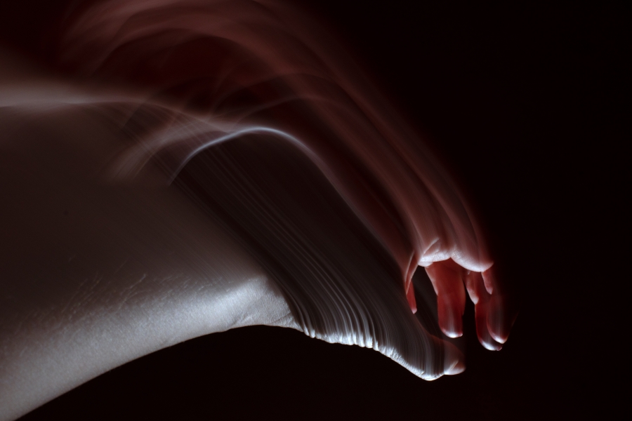 [ 2025-11-26 01:24:02 ]