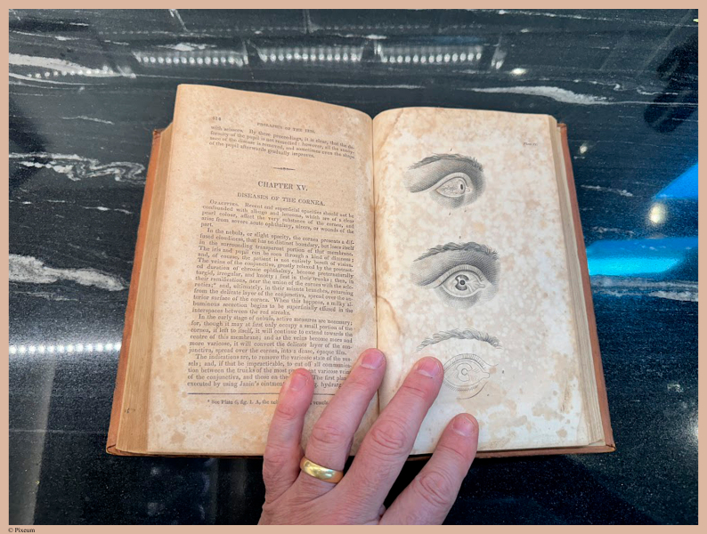 E696 - First Line of Surgery - i7206