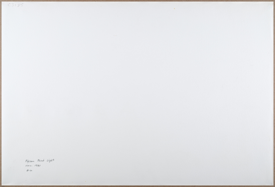 E205 - Big Paper Collection - 9982