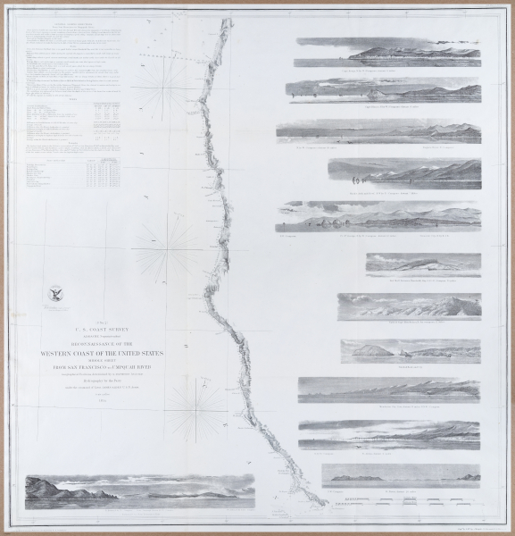 E205 - Big Paper Collection - 9988-9989