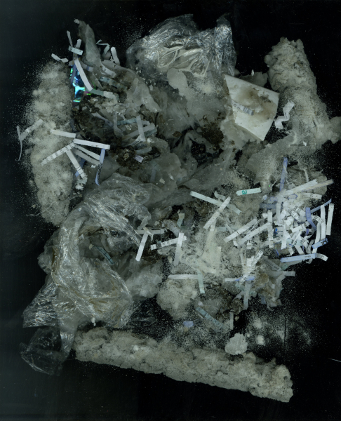 Collapse and Conception, 2025