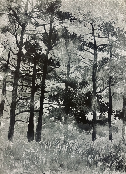 Man/Made: Through the Fog