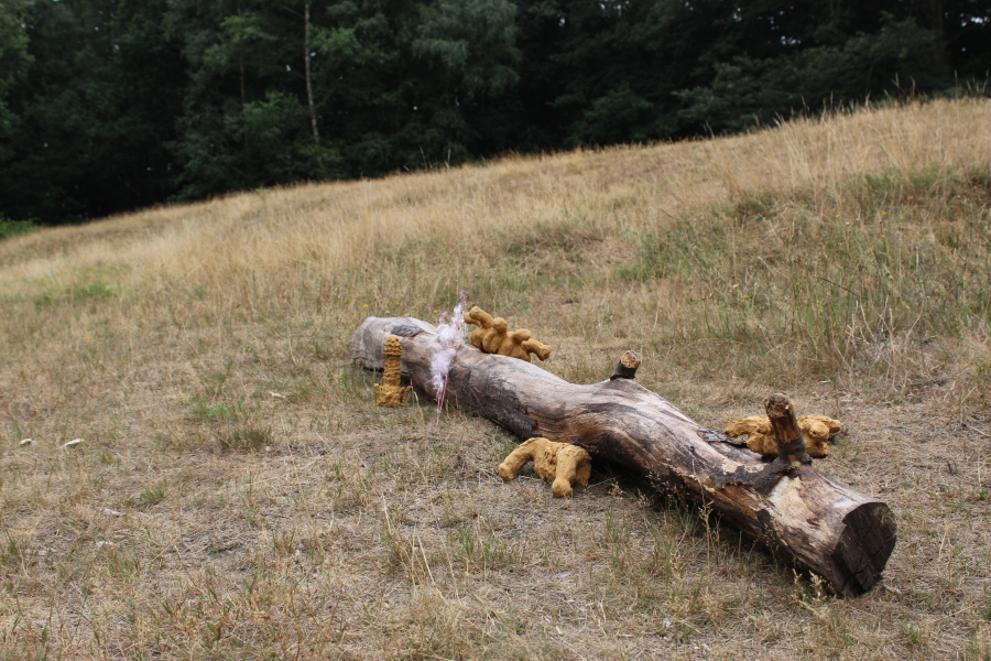 Hampstead Heath, Around 16:52, 2025